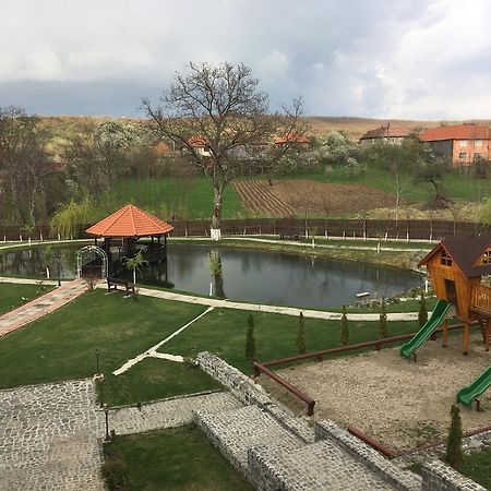 Pensiunea Amurg Mesesenii de Sus Zewnętrze zdjęcie