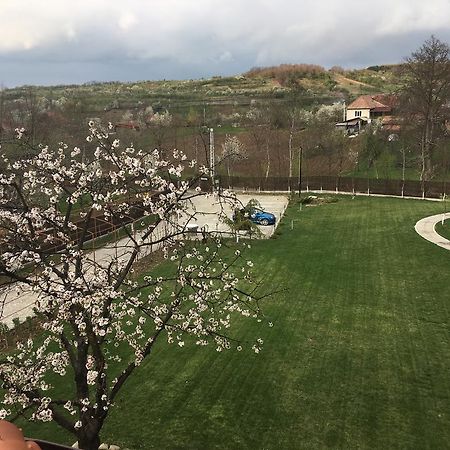 Pensiunea Amurg Mesesenii de Sus Zewnętrze zdjęcie