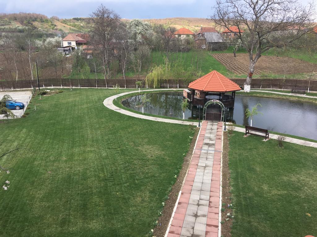 Pensiunea Amurg Mesesenii de Sus Zewnętrze zdjęcie